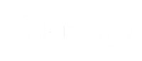 birdeye-white-logo-200x87